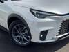 LEXUS OTHER