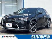 2019 LEXUS UX