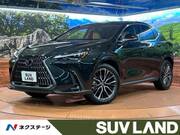 2025 LEXUS NX