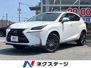 2015 LEXUS NX
