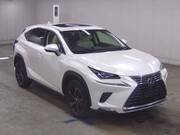2019 LEXUS NX