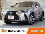 2019 LEXUS UX
