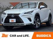 2020 LEXUS NX