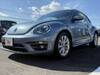 VOLKSWAGEN THE BEETLE