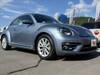 VOLKSWAGEN THE BEETLE