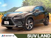 2021 LEXUS NX