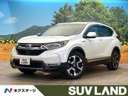 2019 HONDA OTHER