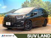 2024 HONDA OTHER