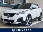 2019 PEUGEOT 3008