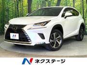 2019 LEXUS NX