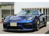 PORSCHE OTHER