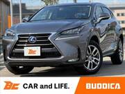 2015 LEXUS NX