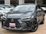 2022 LEXUS NX