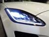 JAGUAR OTHER