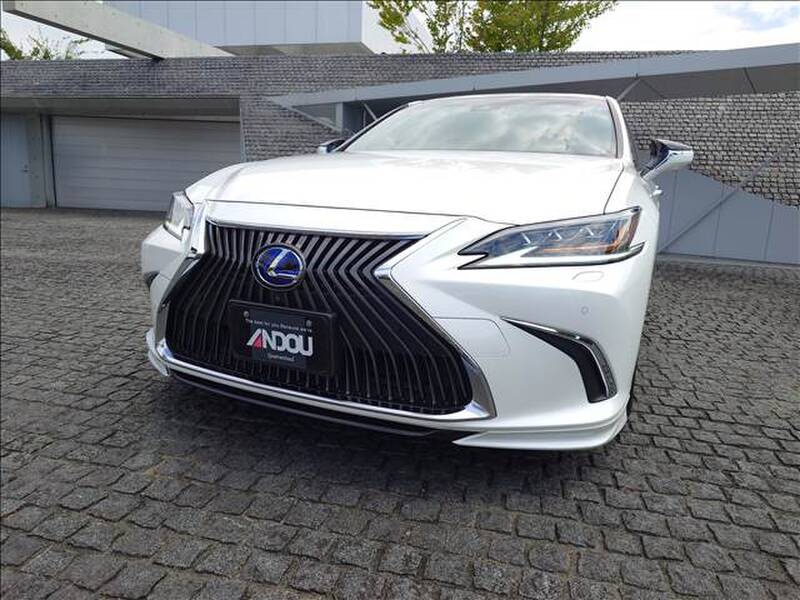 2019 LEXUS ES for sale - photo 9