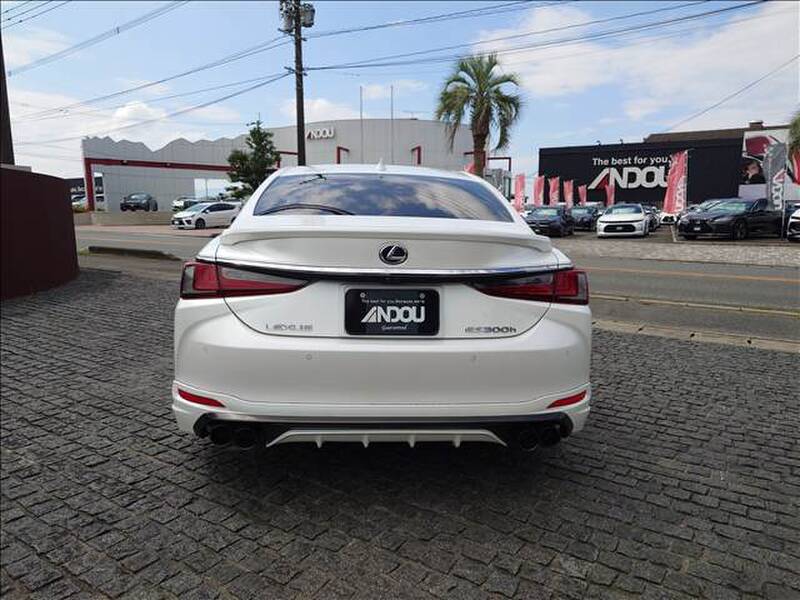 2019 LEXUS ES for sale - photo 10