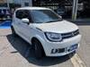 SUZUKI OTHER