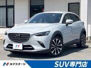 2019 MAZDA CX-3