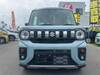 SUZUKI OTHER