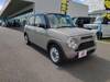 SUZUKI OTHER