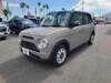 SUZUKI OTHER