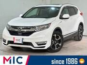 2019 HONDA OTHER