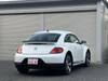 VOLKSWAGEN THE BEETLE