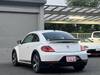 VOLKSWAGEN THE BEETLE