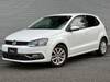 OTHER POLO