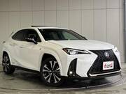2021 LEXUS UX