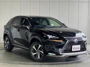 2021 LEXUS NX