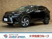 2019 LEXUS NX