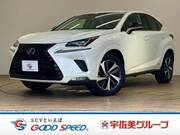2018 LEXUS NX