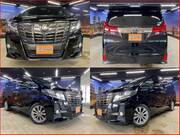 2017 TOYOTA ALPHARD