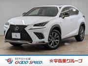 2020 LEXUS NX
