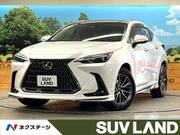 2024 LEXUS NX