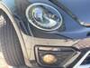 VOLKSWAGEN THE BEETLE