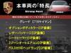 PORSCHE OTHER