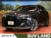 2023 LEXUS NX