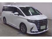 2024 TOYOTA ALPHARD