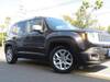 CHRYSLER JEEP RENEGADE