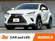 2018 LEXUS NX