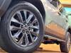 TOYOTA LANDCRUISER 250