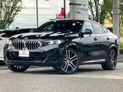 2025 BMW X6