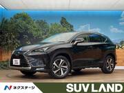 2021 LEXUS NX