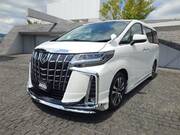 2019 TOYOTA ALPHARD