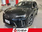 2019 LEXUS UX