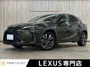 2019 LEXUS UX