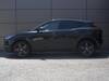 JAGUAR OTHER