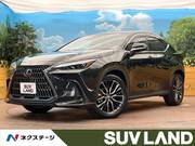 2023 LEXUS NX